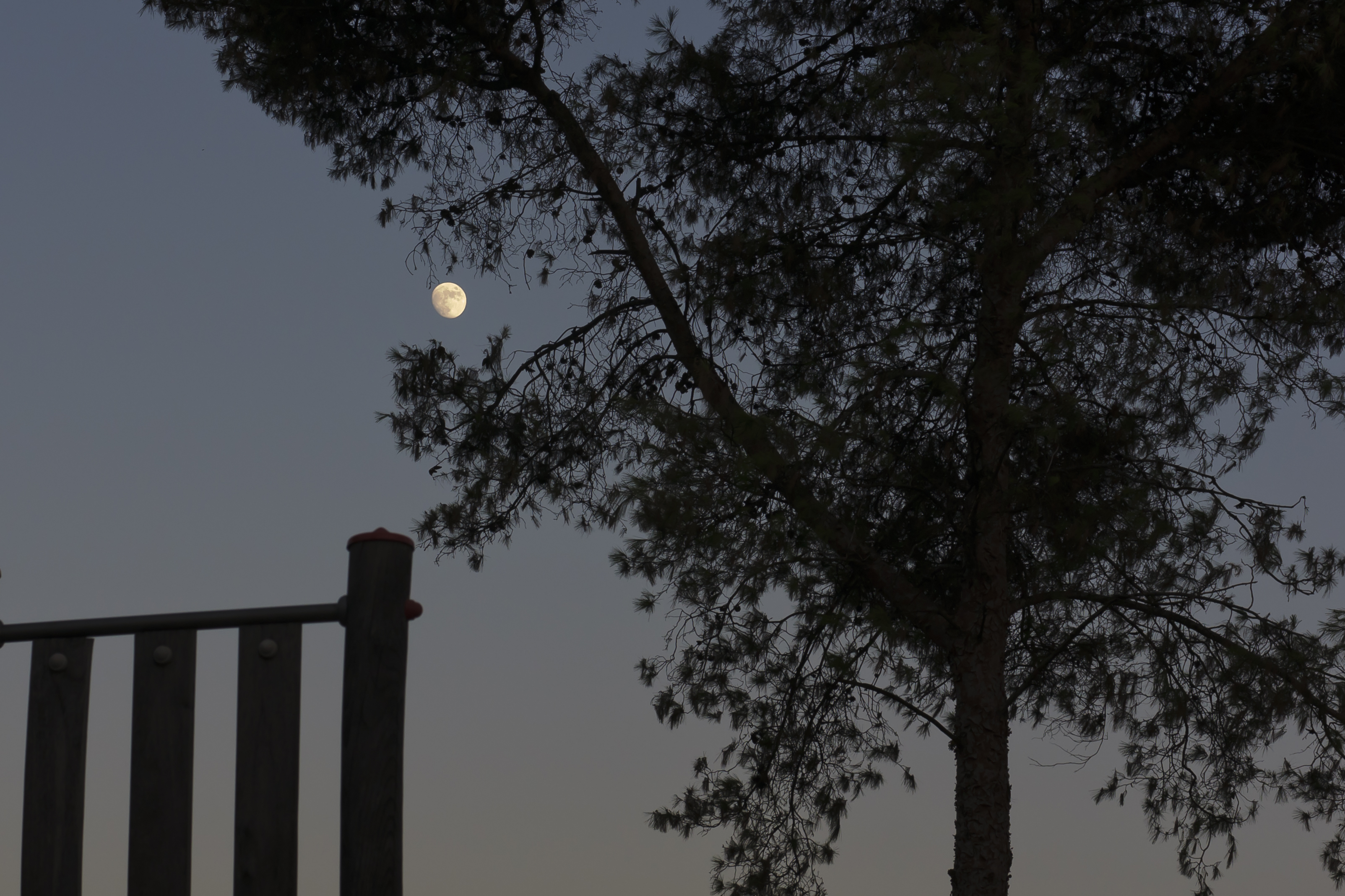 Luna 1