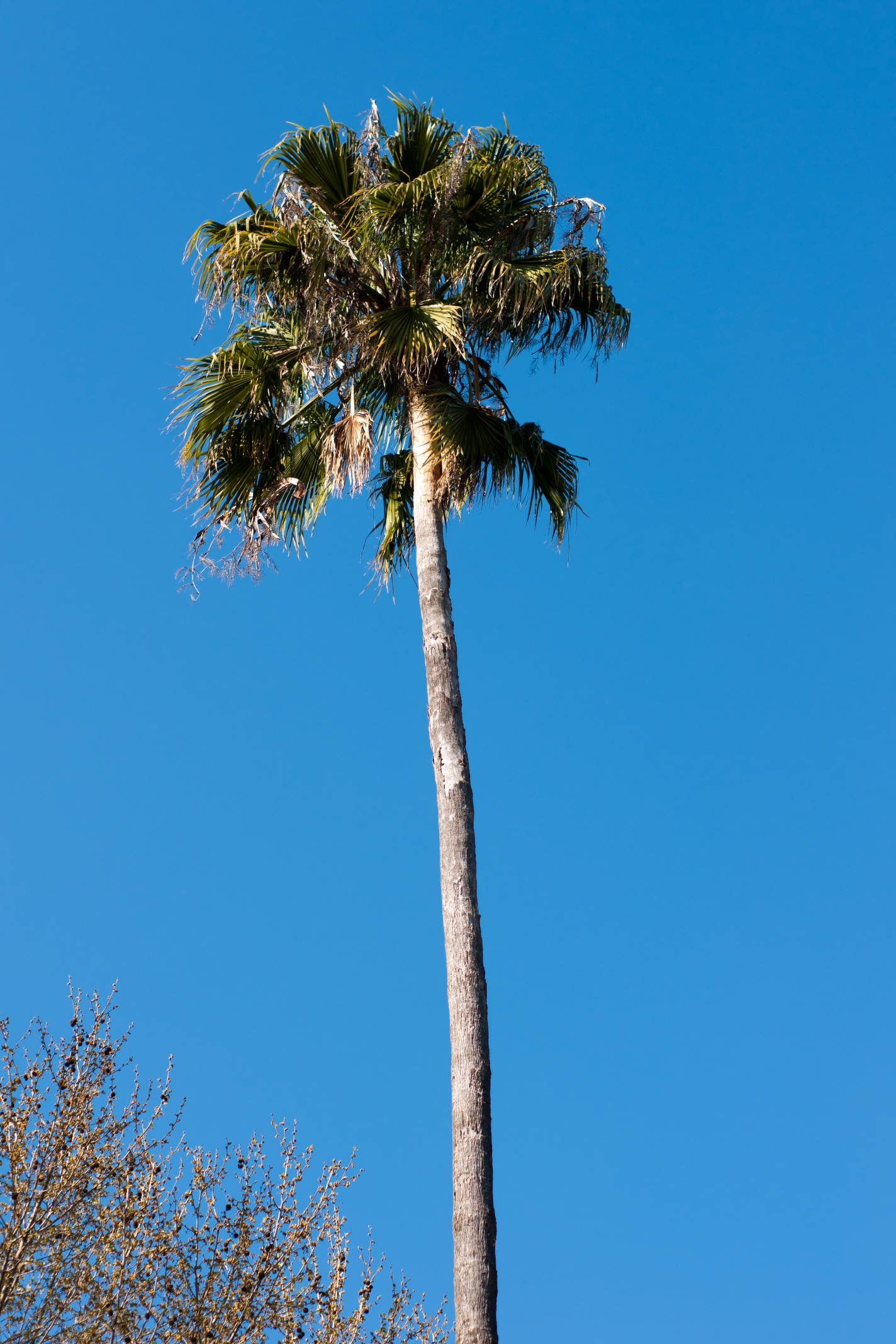 Paisaje 5