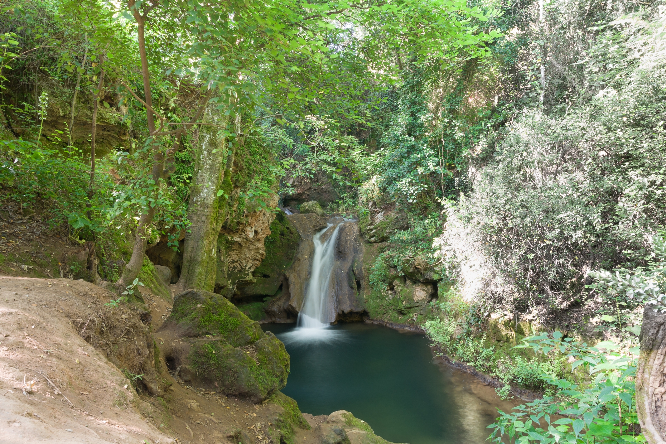 Paisaje 6