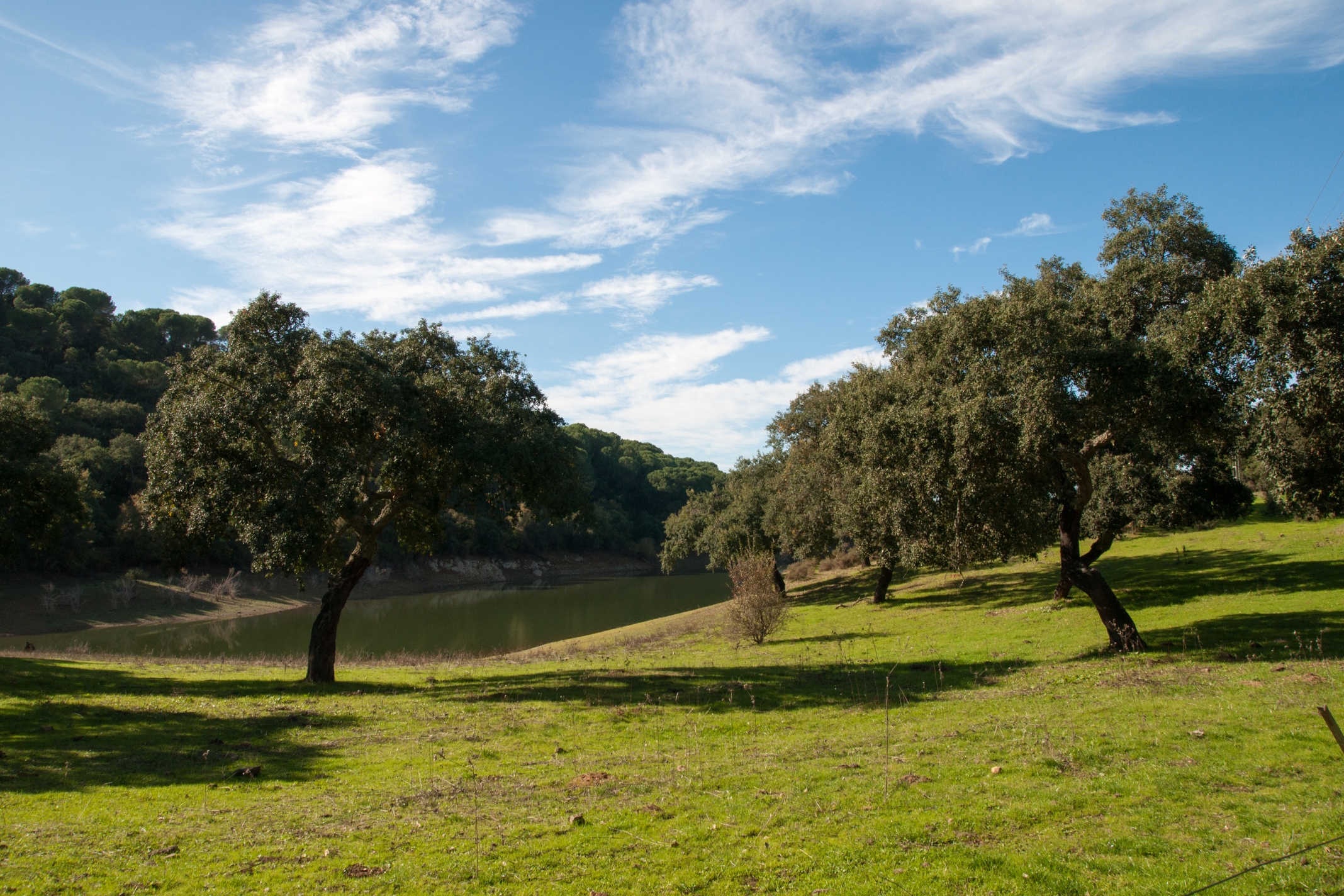 Paisaje 8